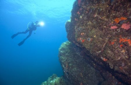 Researchers discover 7,000-year-old stone wall submerged off coast of France