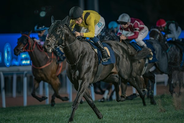 Abu Dhabi Golden Cup attracts elite horses with one million dollar prize purse