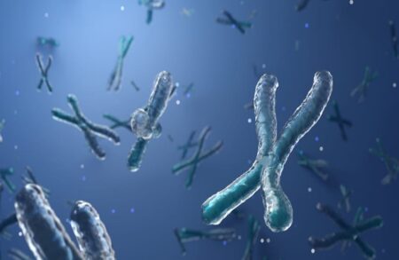 Researchers identify new factor beyond diet and exercise that influences longevity