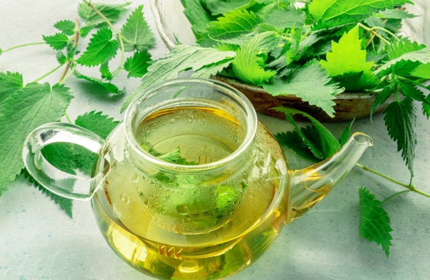 Green tea reduces risk of heart disease and obesity, study finds