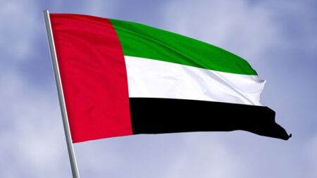 United Arab Emirates calls for accelerated implementation of second phase of comprehensive Gaza peace plan