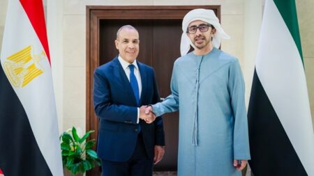 UAE Foreign Minister Abdullah bin Zayed receives Egyptian Foreign and Migration Minister