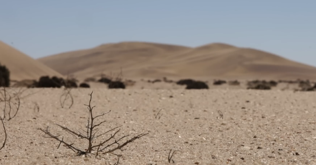 Dubai’s Secret Desert Project Could Change Climate Science Forever