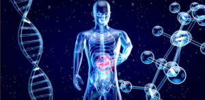 The Gut Health Trend Is Bigger Than Ever—But Is It Backed by Science? Gut Health Trend